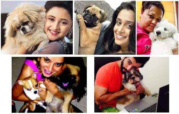 Television stars with their cats & dogs