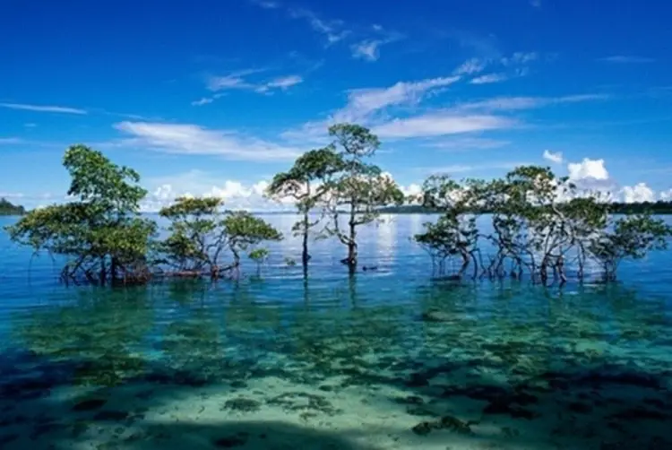 Nicobar Andaman Islands