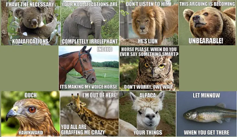 zoo animals funny meme