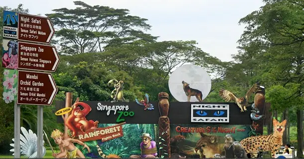 singapore zoo tour