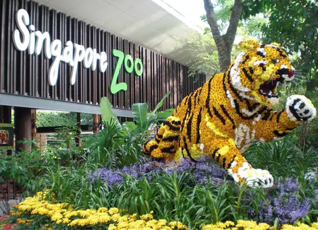 singapore zoo